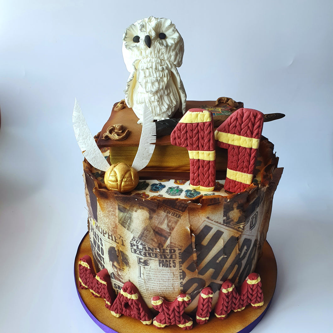 Harry Potter cake